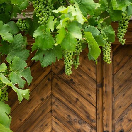 Vinonima Vendeghaz Villa Hegymagas Bagian luar foto