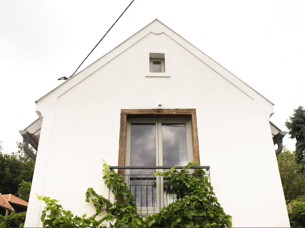 Vinonima Vendeghaz Villa Hegymagas Bagian luar foto