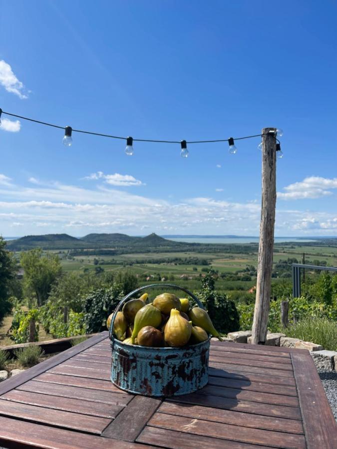 Vinonima Vendeghaz Villa Hegymagas Bagian luar foto