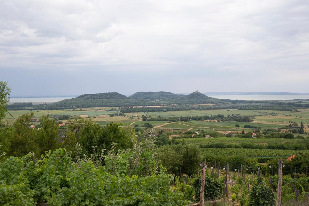 Vinonima Vendeghaz Villa Hegymagas Bagian luar foto